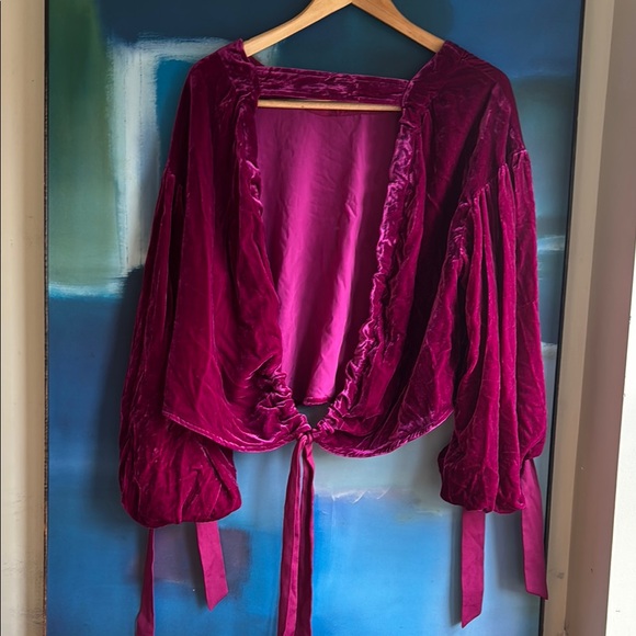 Free People Gimme Some Lovin' Velvet Top with Tie Sleeves - Picture 4 of 8